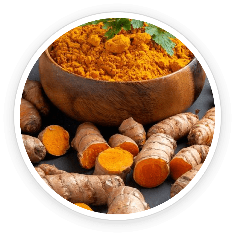 PurpleBurn Dr Mark Nutrients