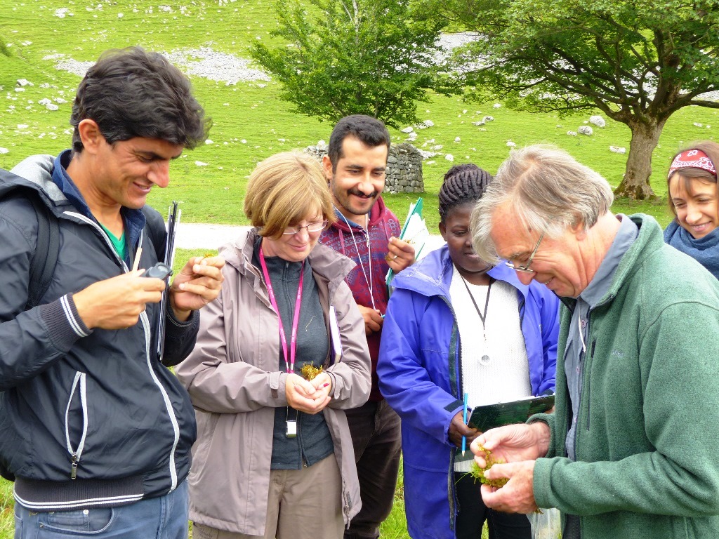 David Streeter 1 Dr M Goes Wild