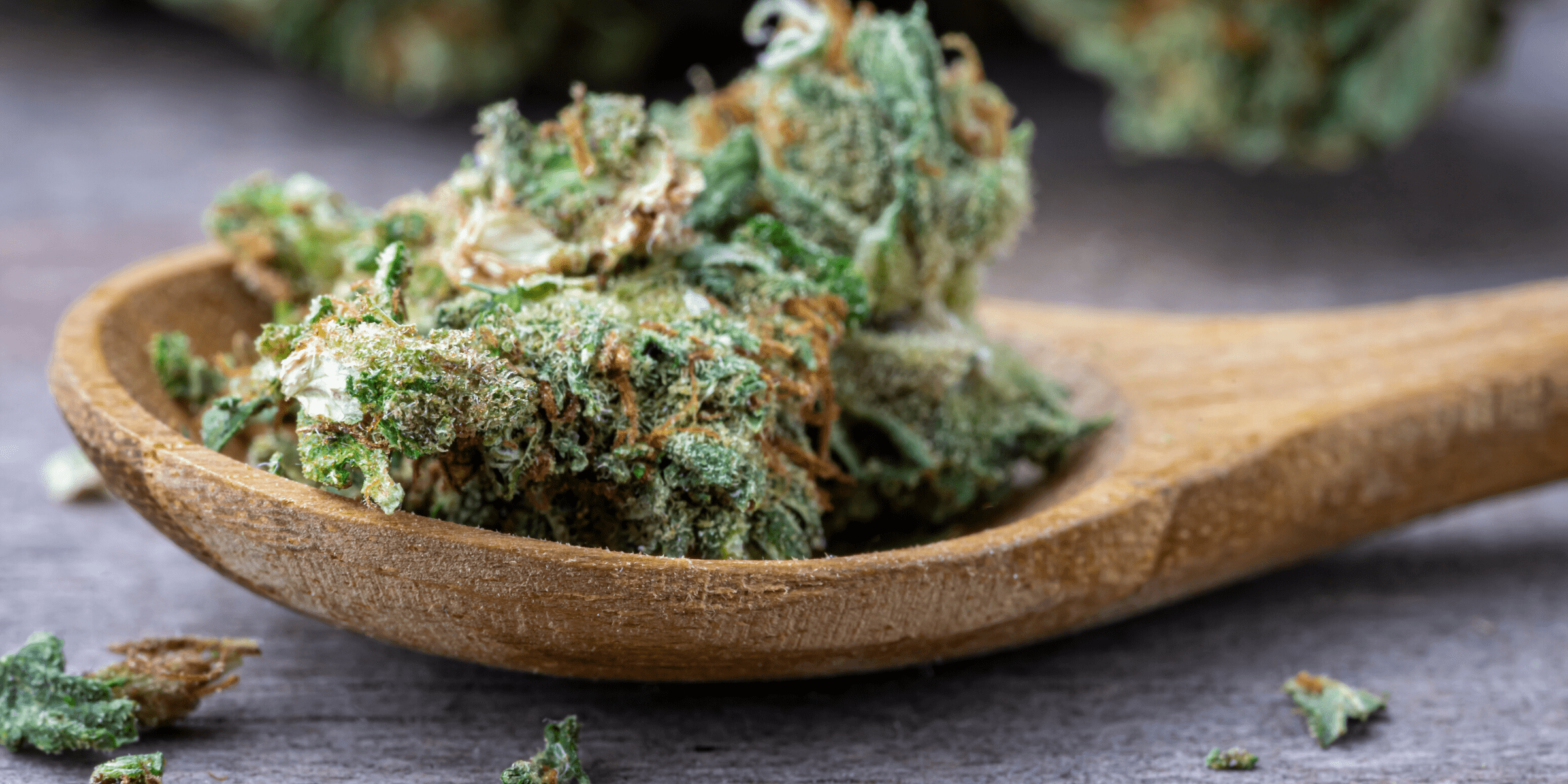 How CBD Hemp Flower For Anxiety Works Dr. Michele Ross