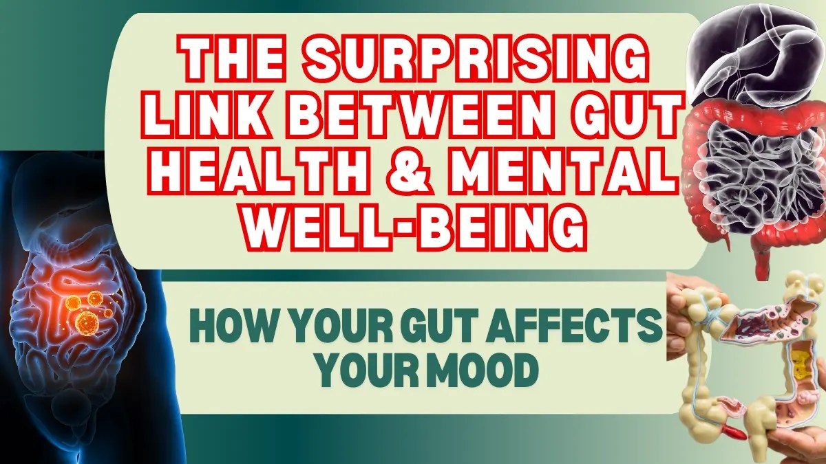 The Surprising Link Between Gut Health & Mental Wellbeing 7 Tips How