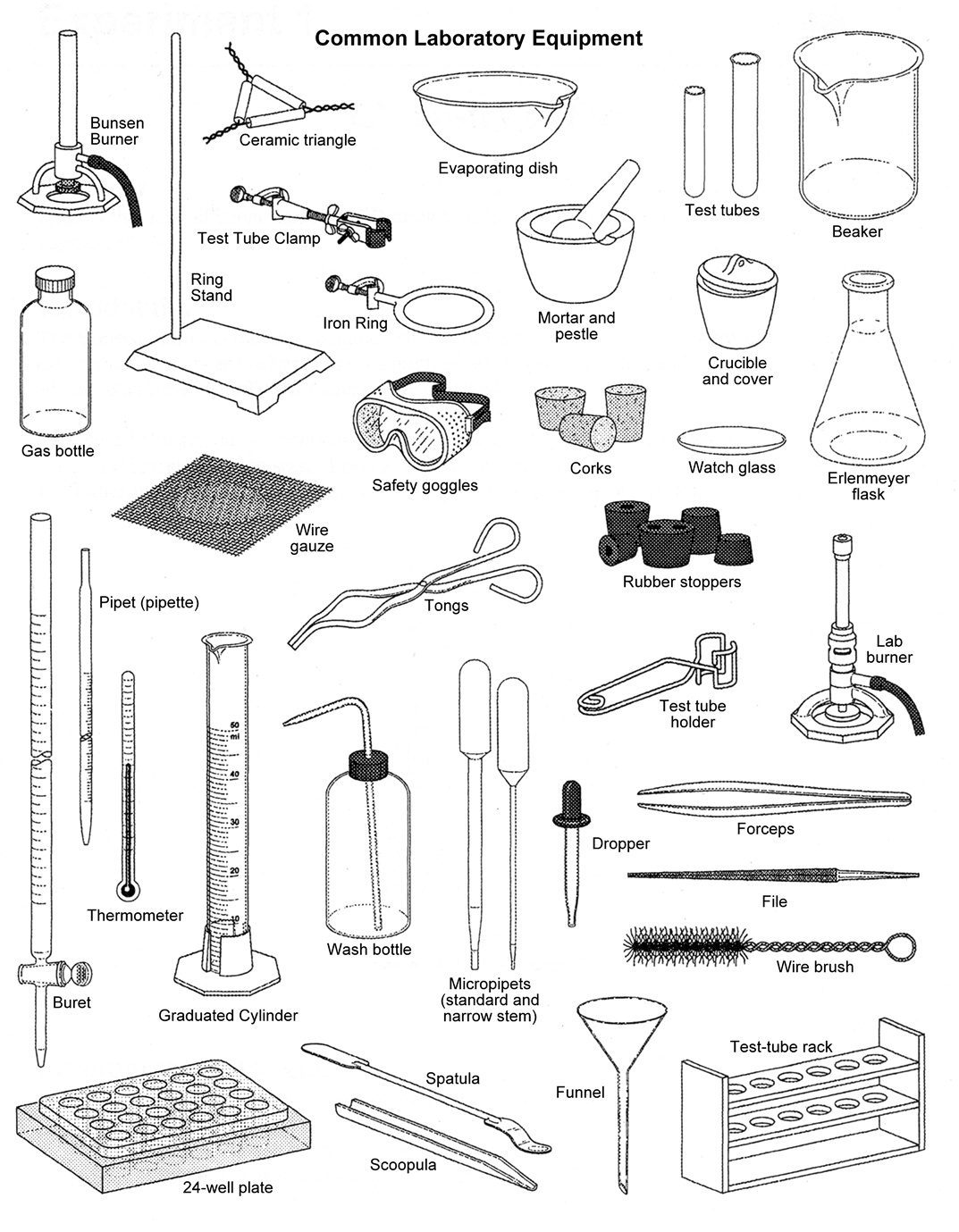 Laboratory Equipment List And Their Uses