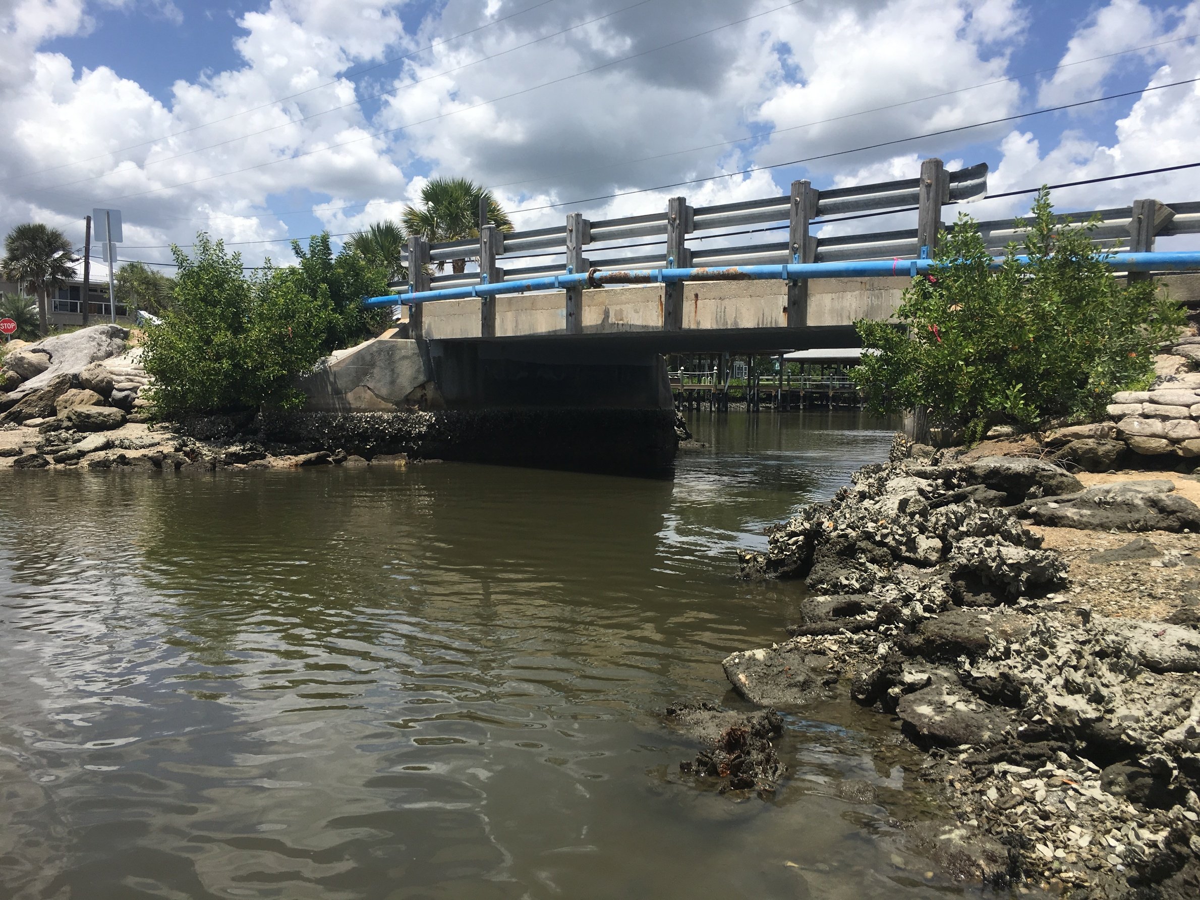 DRMP Designs Living Shoreline to Protect Aquatic Species and Habitat in New Smyrna Beach, FL DRMP