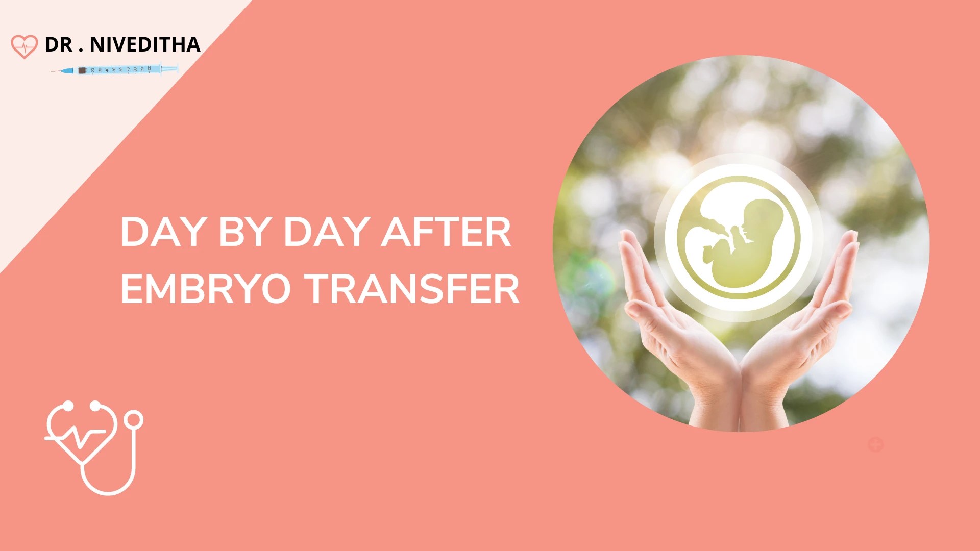 Day By Day After Embryo Transfer