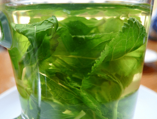 Is Muntthee Gezond? En Hoe Maak Je Het Zelf? | Drogespieren.nl