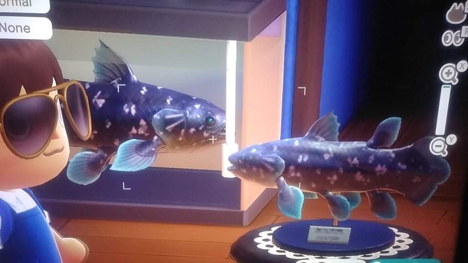 What are Rarest and Most Valuable Pieces in Animal Crossing New