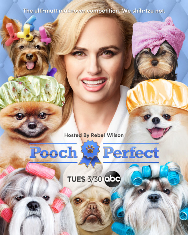 Pooch Perfect Season 1 New Release, Details, Trailer, and More