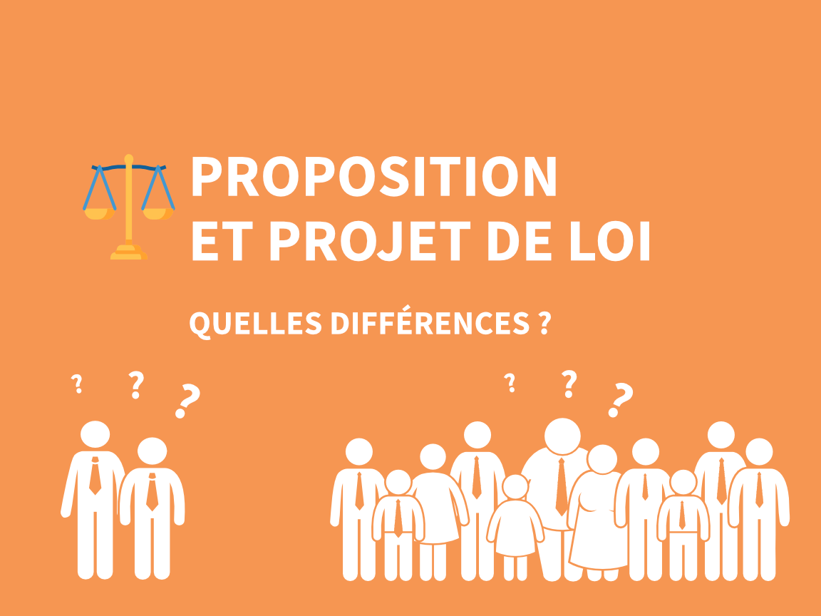 Proposition ou projet de loi ? Le droit en schémas, par Inès Stanojevic