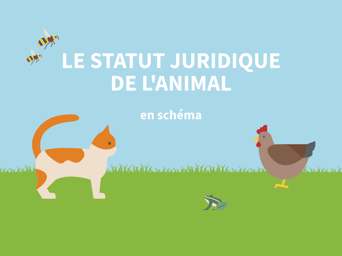 Le statut juridique de l'animal Le droit en schémas, par Inès Stanojevic