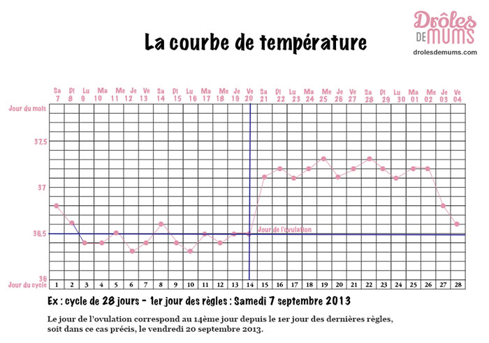 Conception la courbe de température, comment ça fonctionne ? Drôles