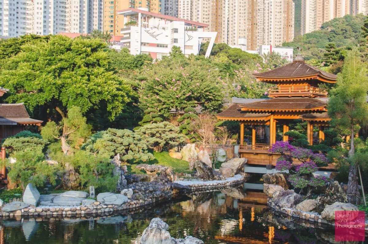 Discover The Beautiful Chi Lin Nunnery & Nan Lian Garden In Hong Kong