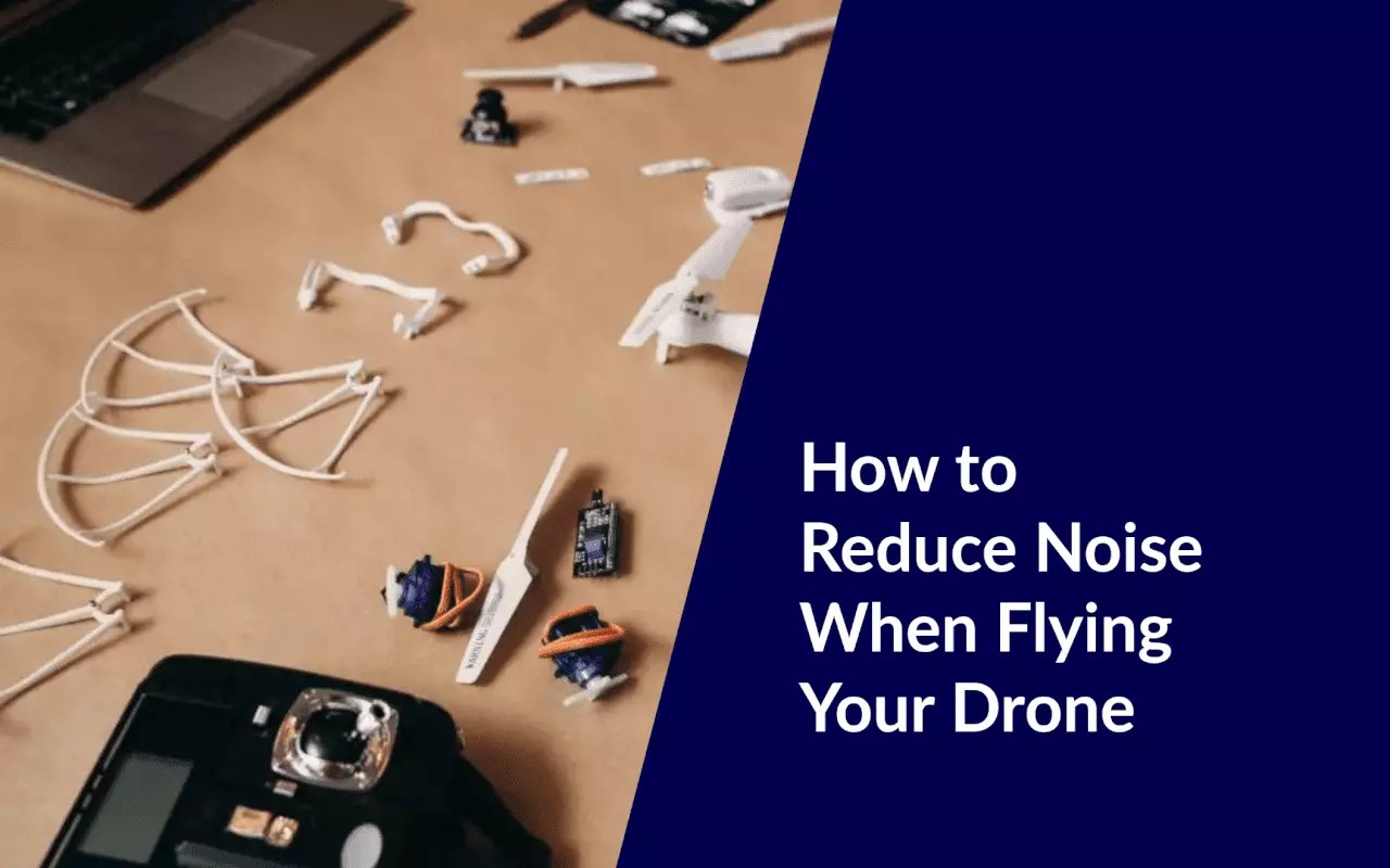 The Quietest Drones on the Market and How to Reduce Noise When Flying