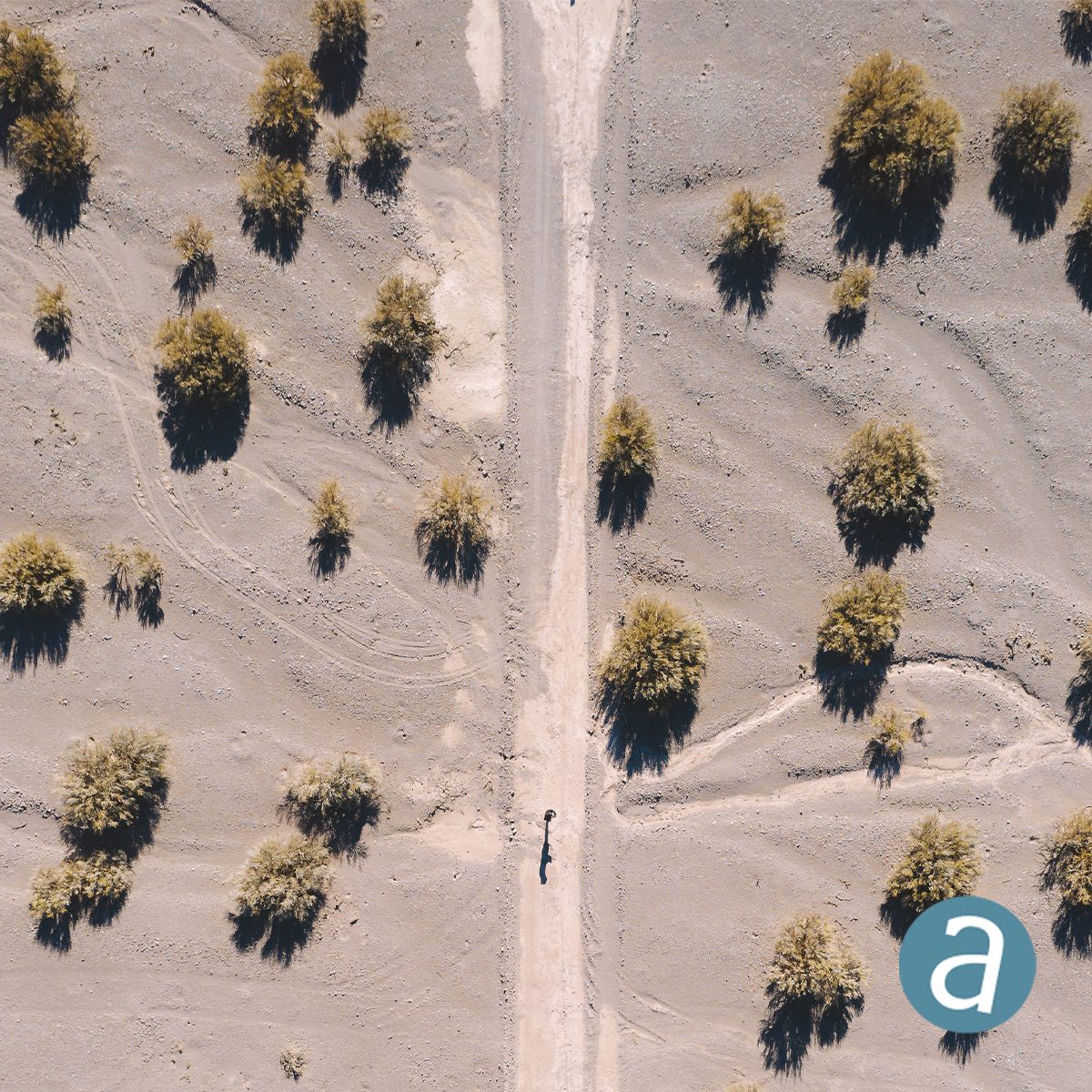 The Right Tools for Oil and Gas Exploration SimActive and Dawson