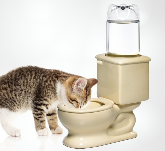 The Dog Toilet Bowl