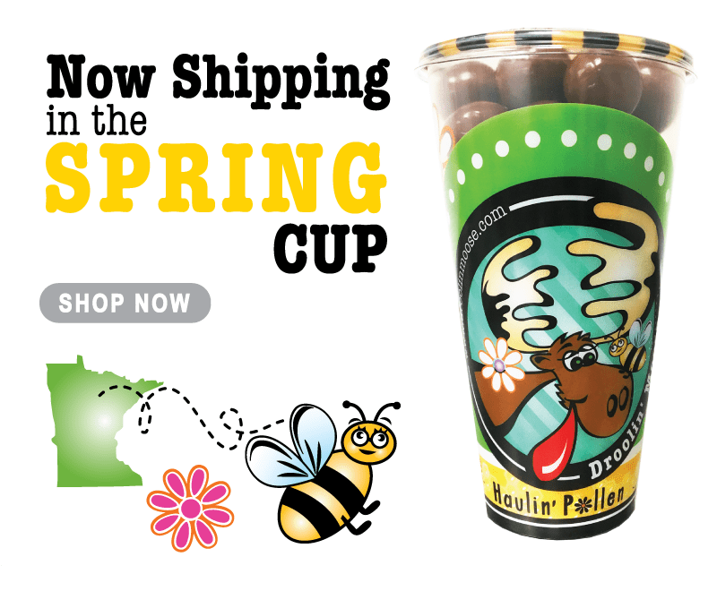 Droolin' Moose Twin Cities Gourmet Chocolate Bloomington, Burnsville