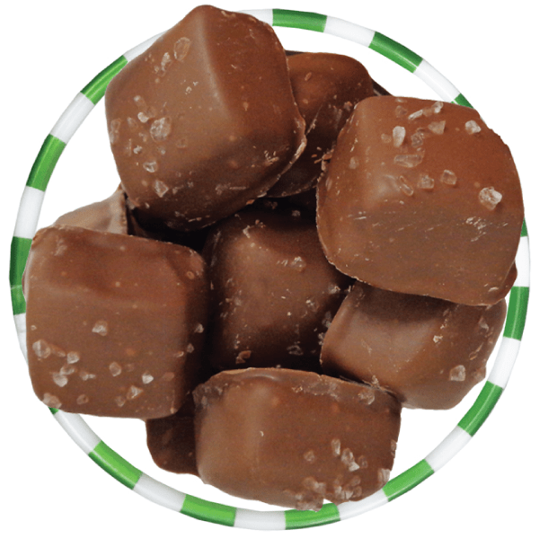 Droolin' Moose Twin Cities Gourmet Chocolate Bloomington, Burnsville