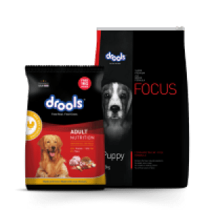 Dog Wet Gravy Benefits-Drools Wet Food Review & Feeding Guide