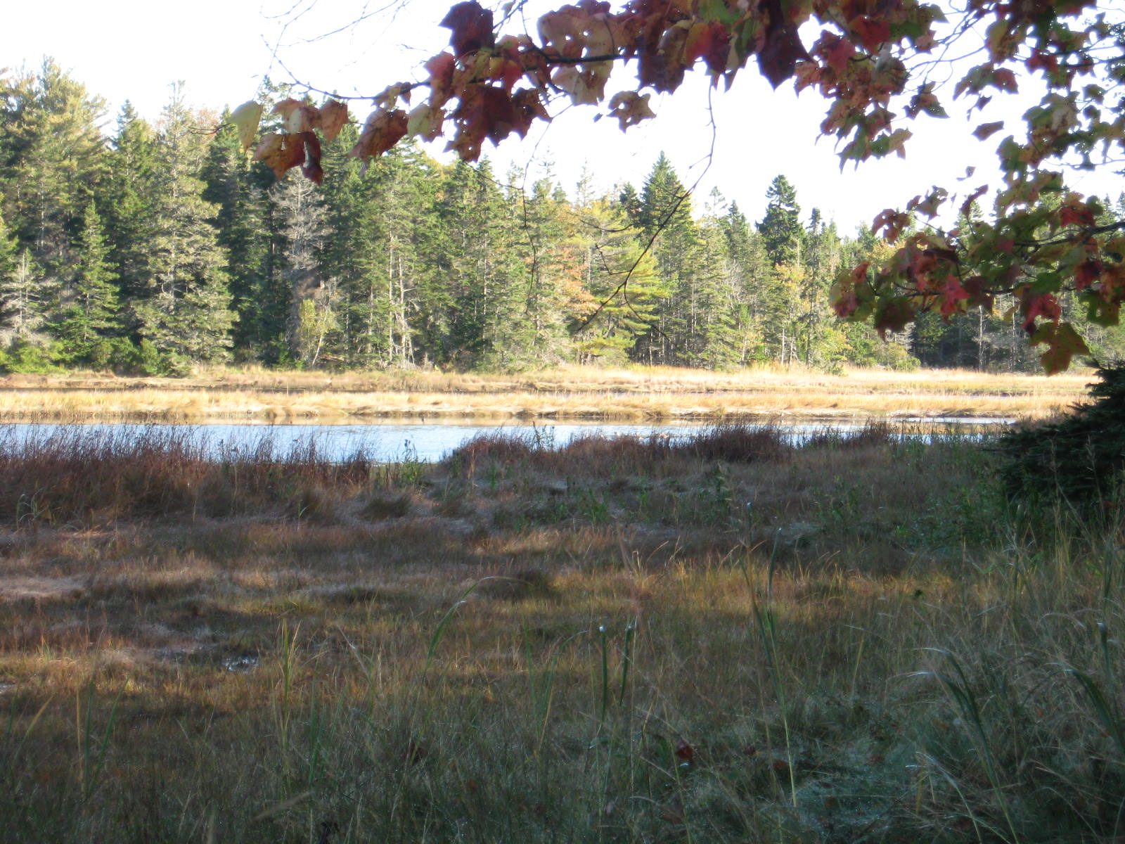 p/o 120 Wescogus Road, Addison 04606 Drop Anchor Realty