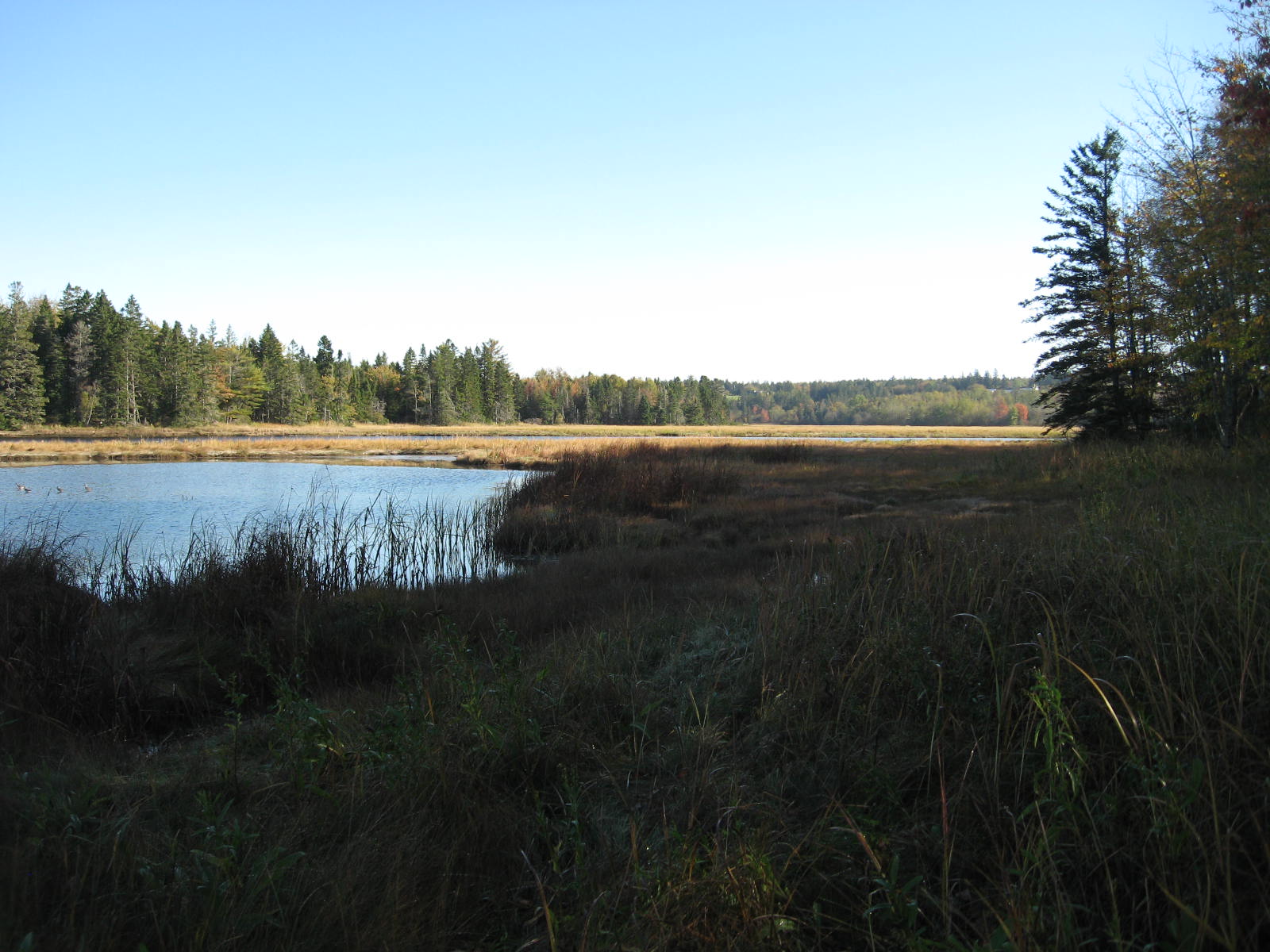 p/o 120 Wescogus Road, Addison 04606 Drop Anchor Realty