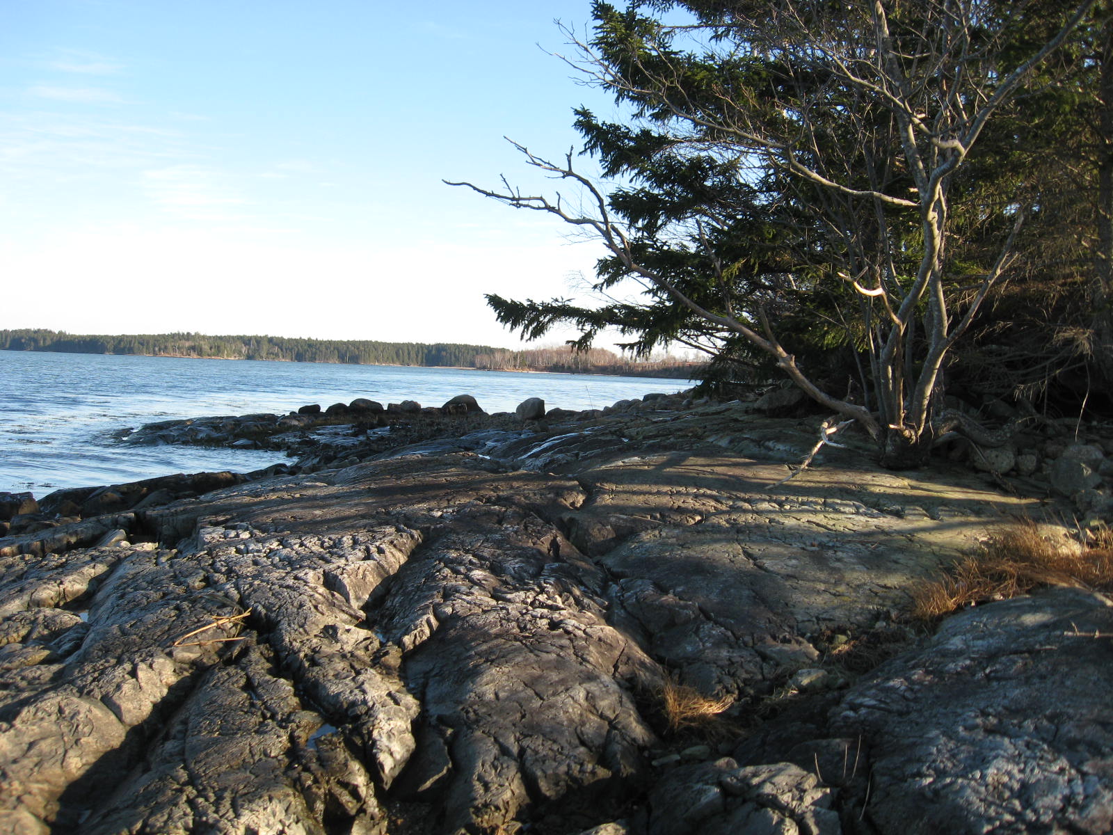 3 Middle Ground View, Jonesport 04649 Drop Anchor Realty