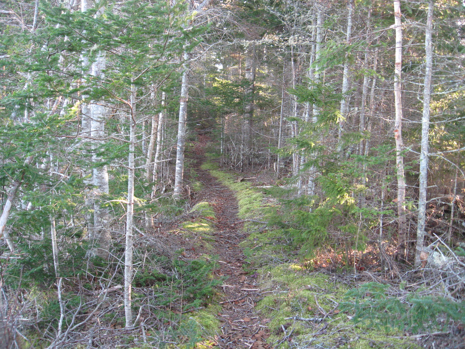 3 Middle Ground View, Jonesport 04649 Drop Anchor Realty