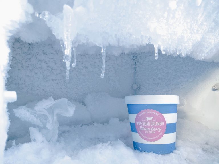 Can You Leave A Fridge Outside In The Winter Unplugged?