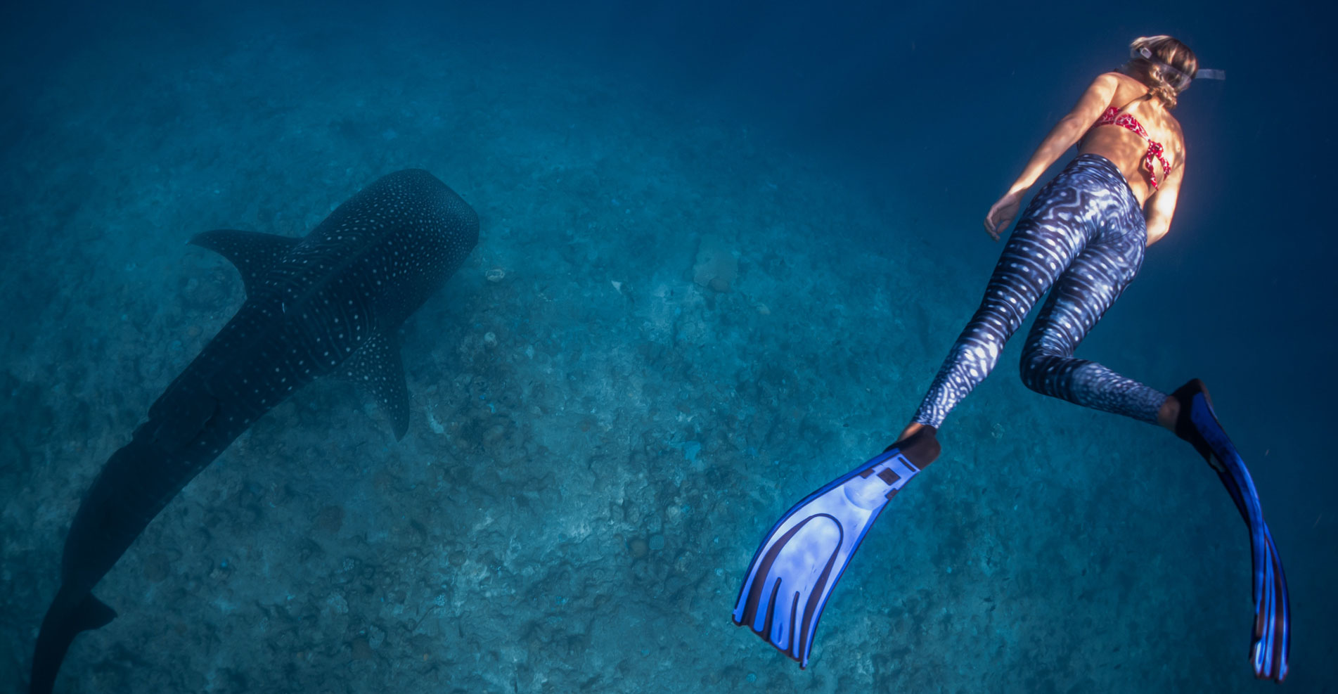 DROP DIVE MALDIVES RASDHOO FUVAHMULAH Life Begins Underwater