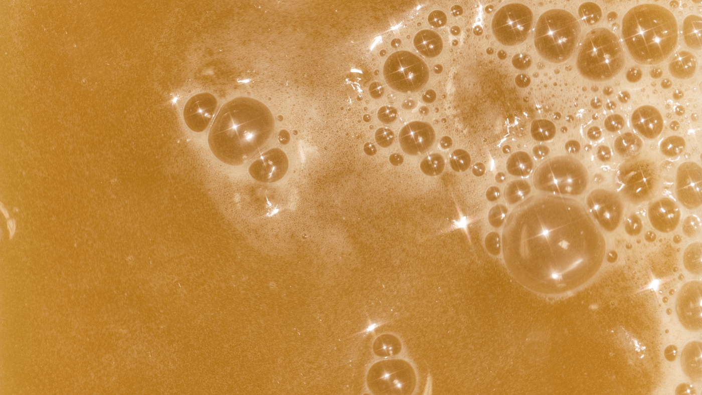 LemonRosemary Bone Broth Elixir Visp