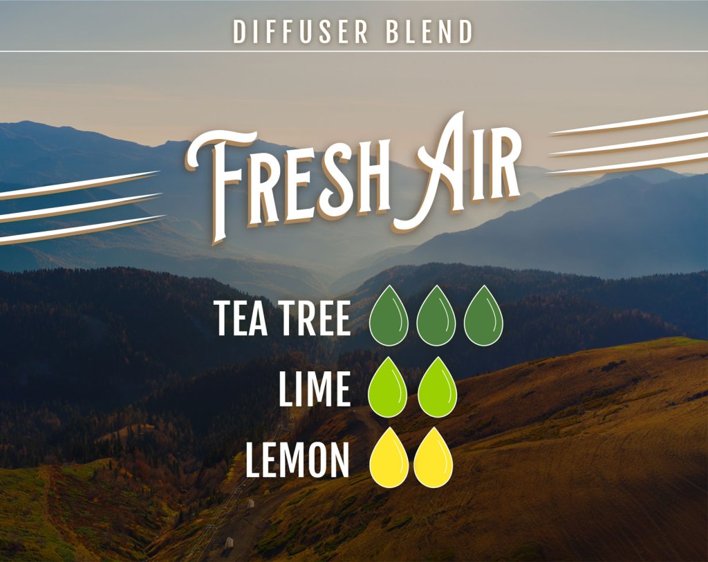 5 Tea Tree Essential Oil Diffuser Blends to Support The Immune System