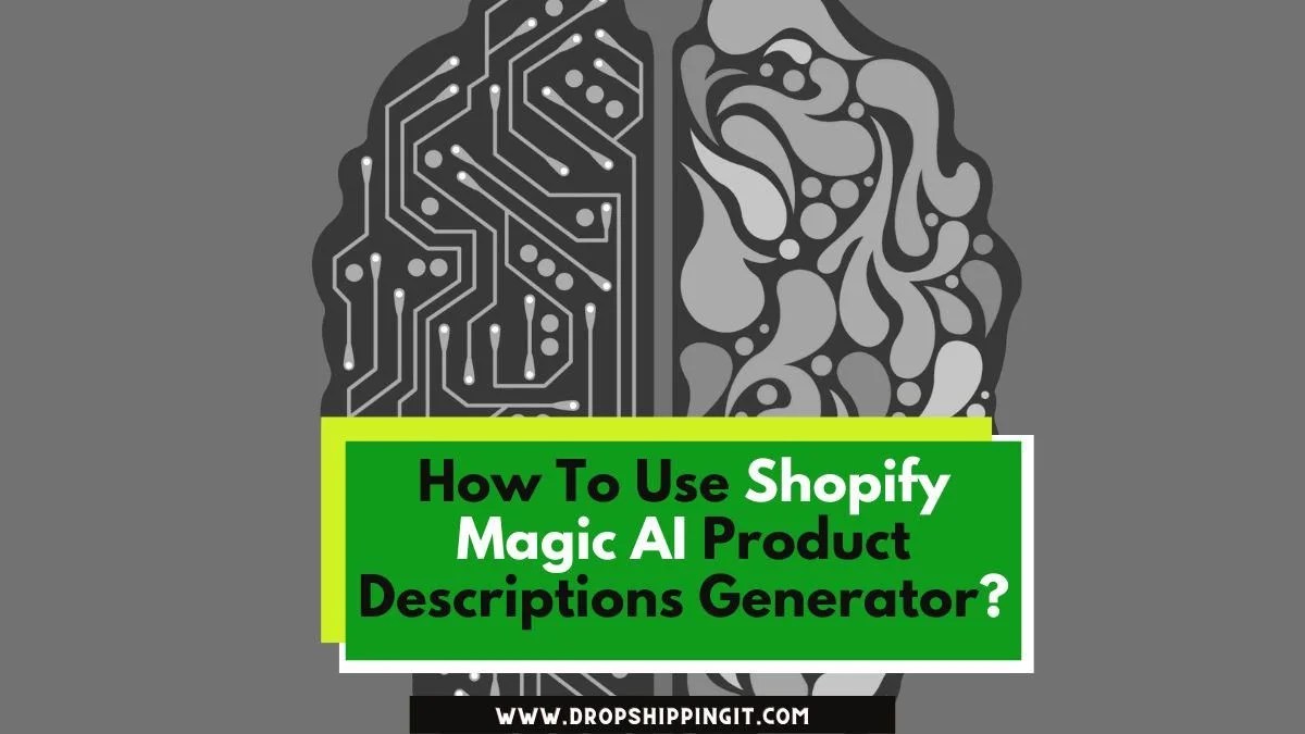 Shopify Magic Product Descriptions AIGenerator Overview
