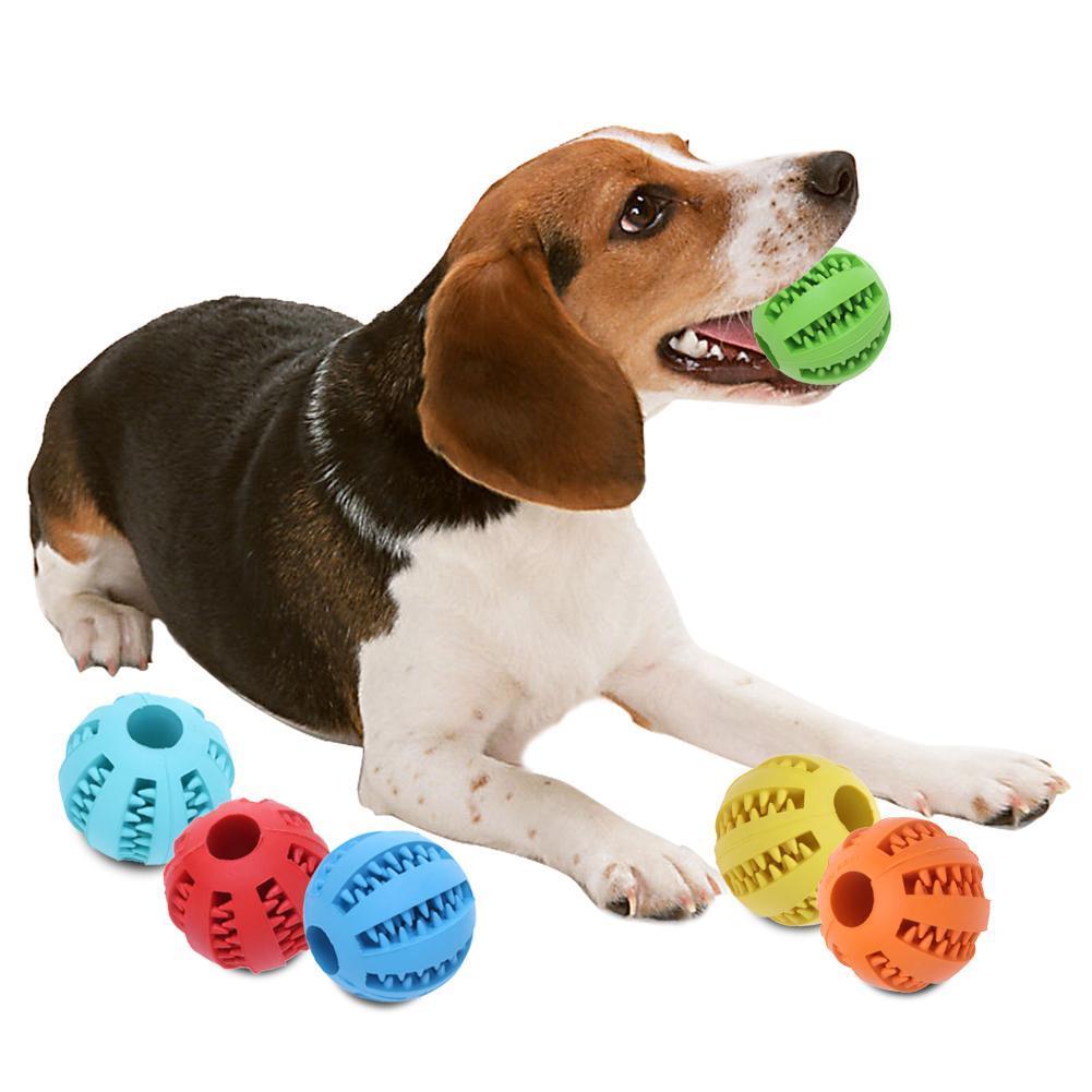 PET RUBBER BALL Dropship Rabbit Winning products for