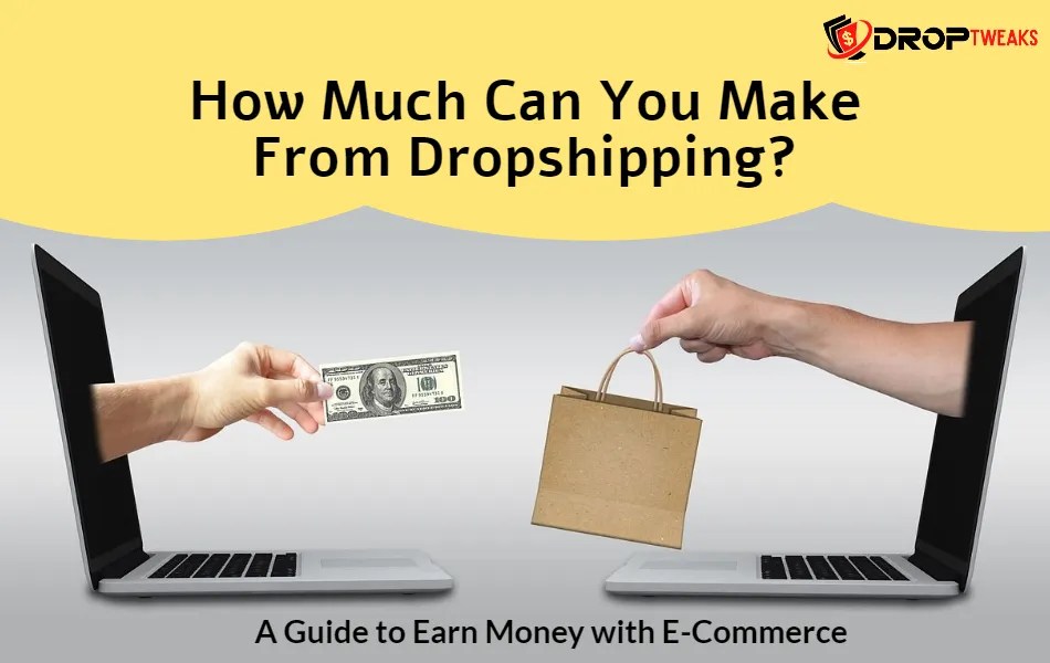 How much can you make from Dropshipping? Earn Money in 2023