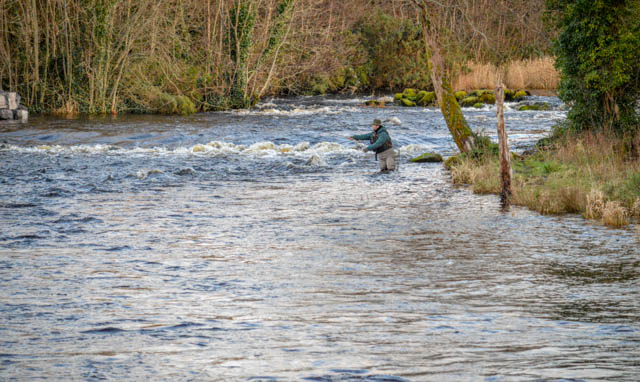 Drowes Fishery, Fishing Reports The Drowes Salmon Fishery