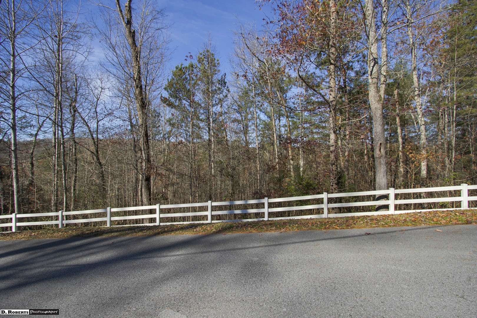 Lot 53 Pin Oak Drive