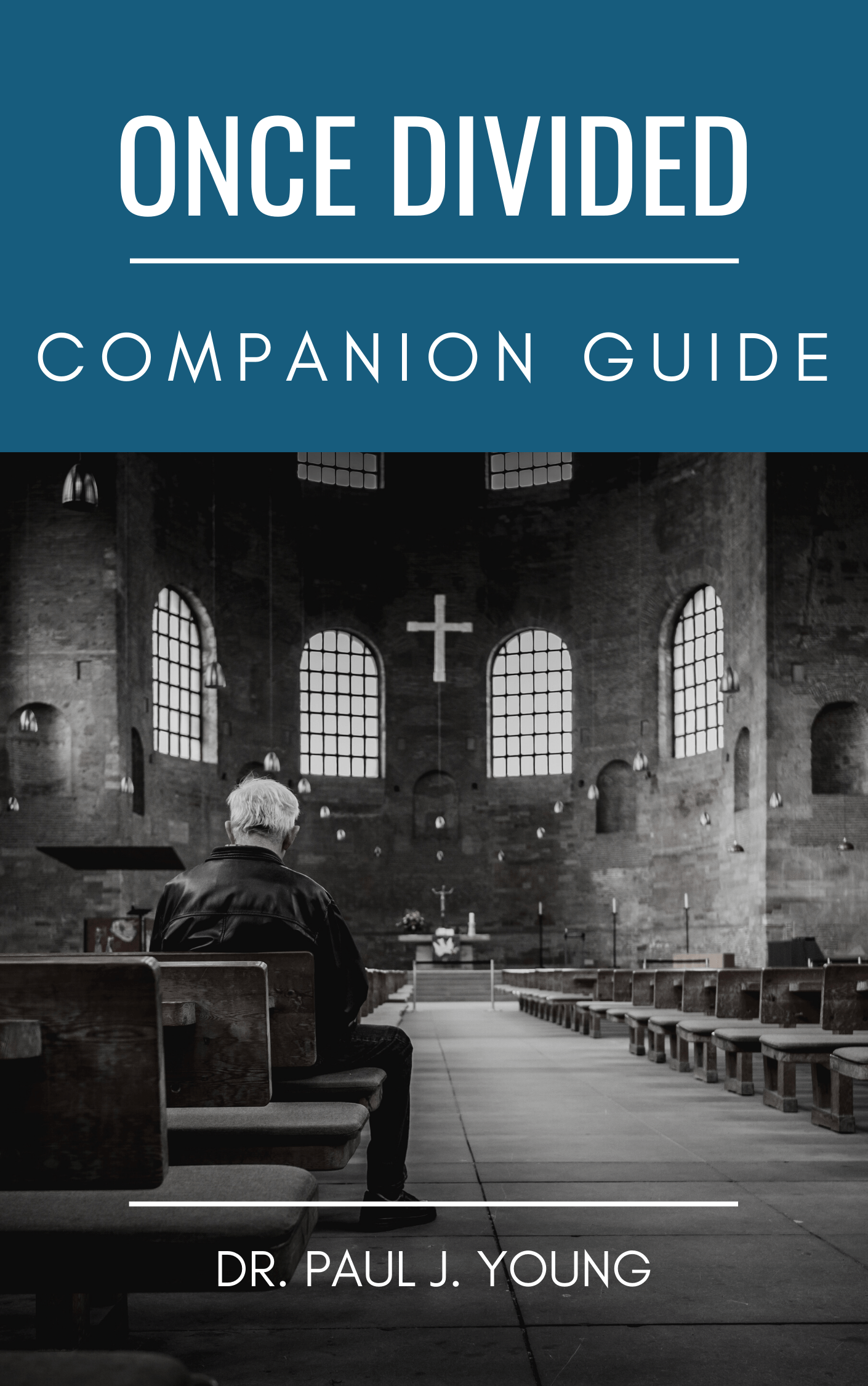 Once Divided Companion Guide Dr. Paul Young — Books That Speak To