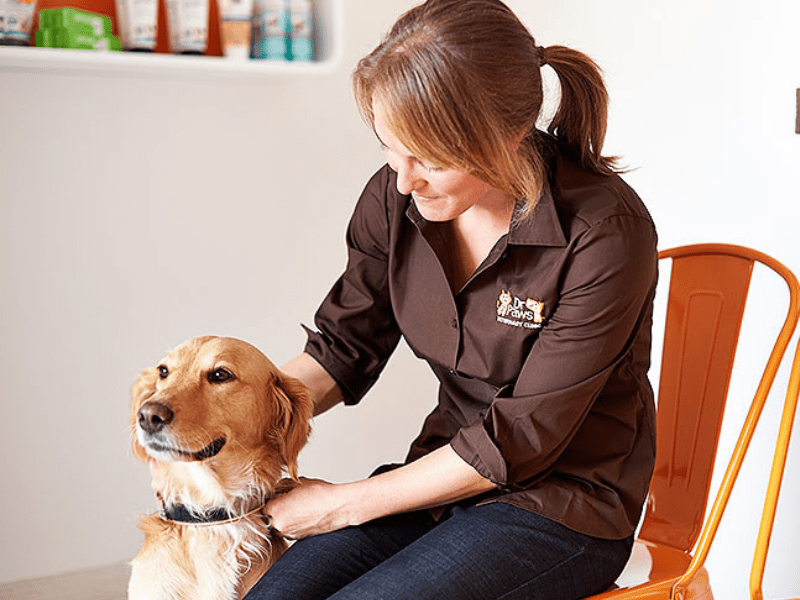 Dr. Bell Pet Care Clinics, South Carolina ((864) 6418132)