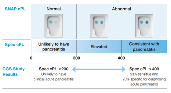 狗狗胰臟炎的最新診斷方式：cPL