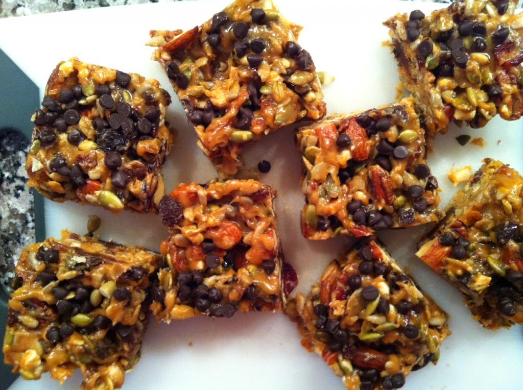 Paleo Protein Bars Functional Holistic Nutrition