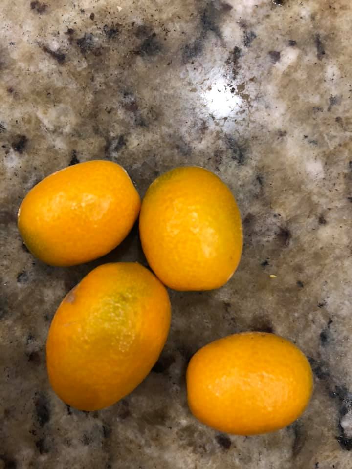 Kumquat Reimagined Kumquat and Radish and Beet Vegetable Saute No