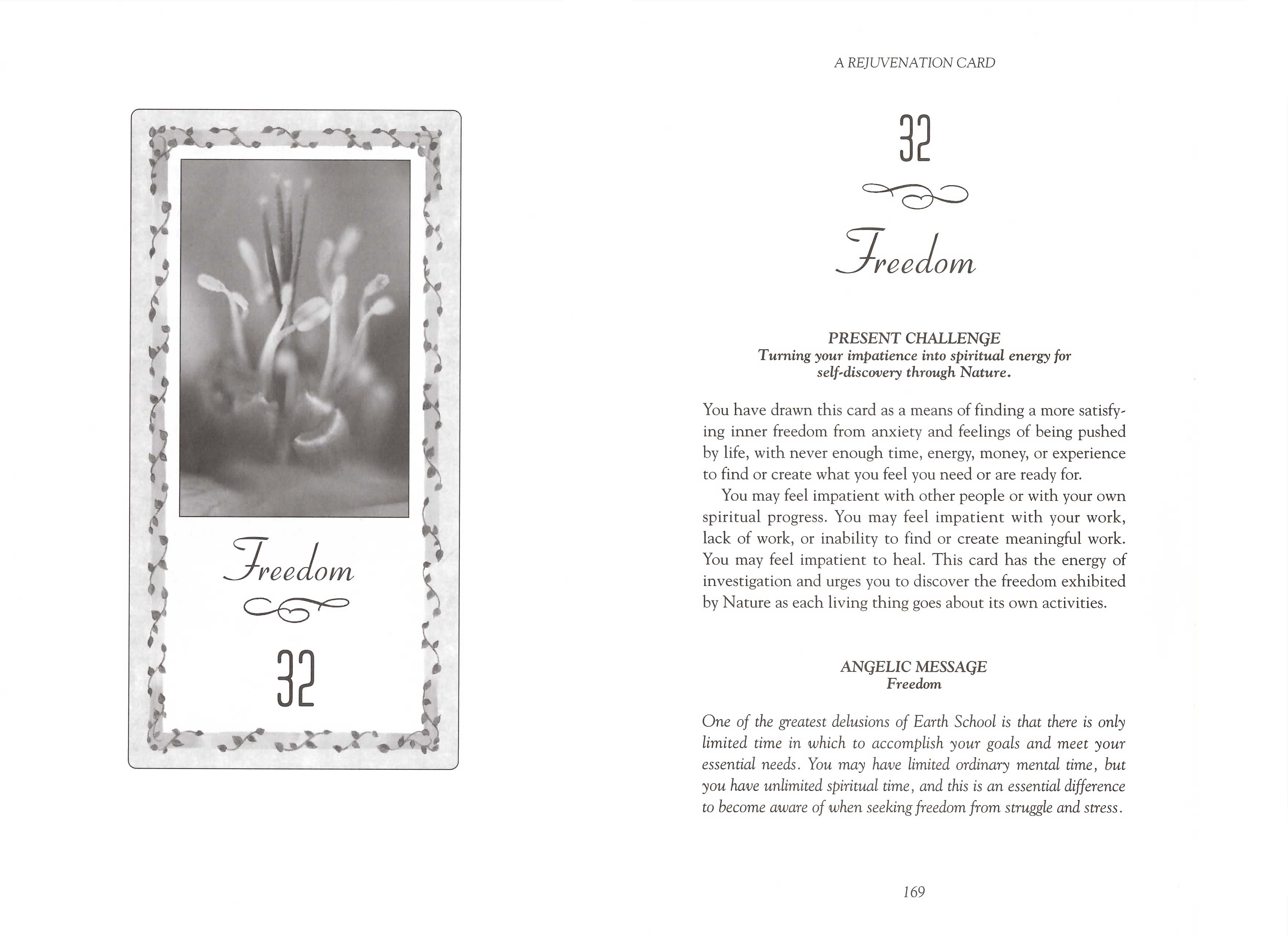 Freedom Angel Card Dr. Philip Princetta