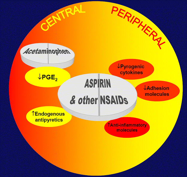 FEVER Dr Rajiv Desai
