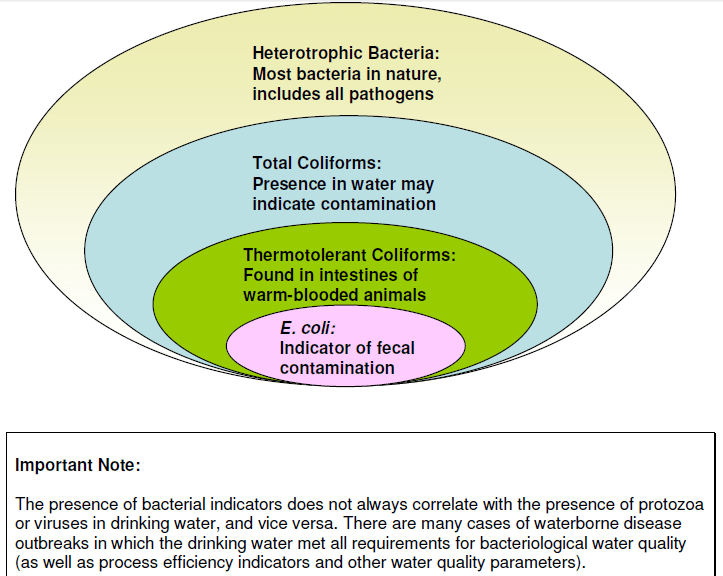 Coliforms And Non Coliforms Difference Between E Coli and Coliform