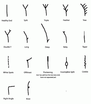 Hair – Dr Rajiv Desai