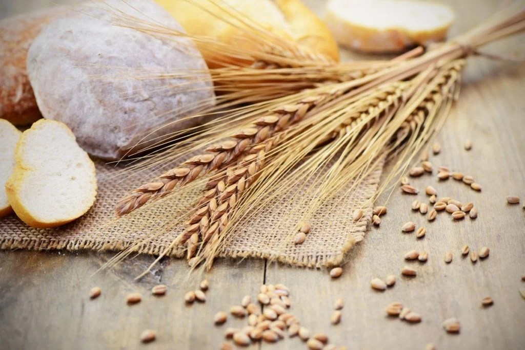 Understanding the Foods That Cause Eczema Your Guide