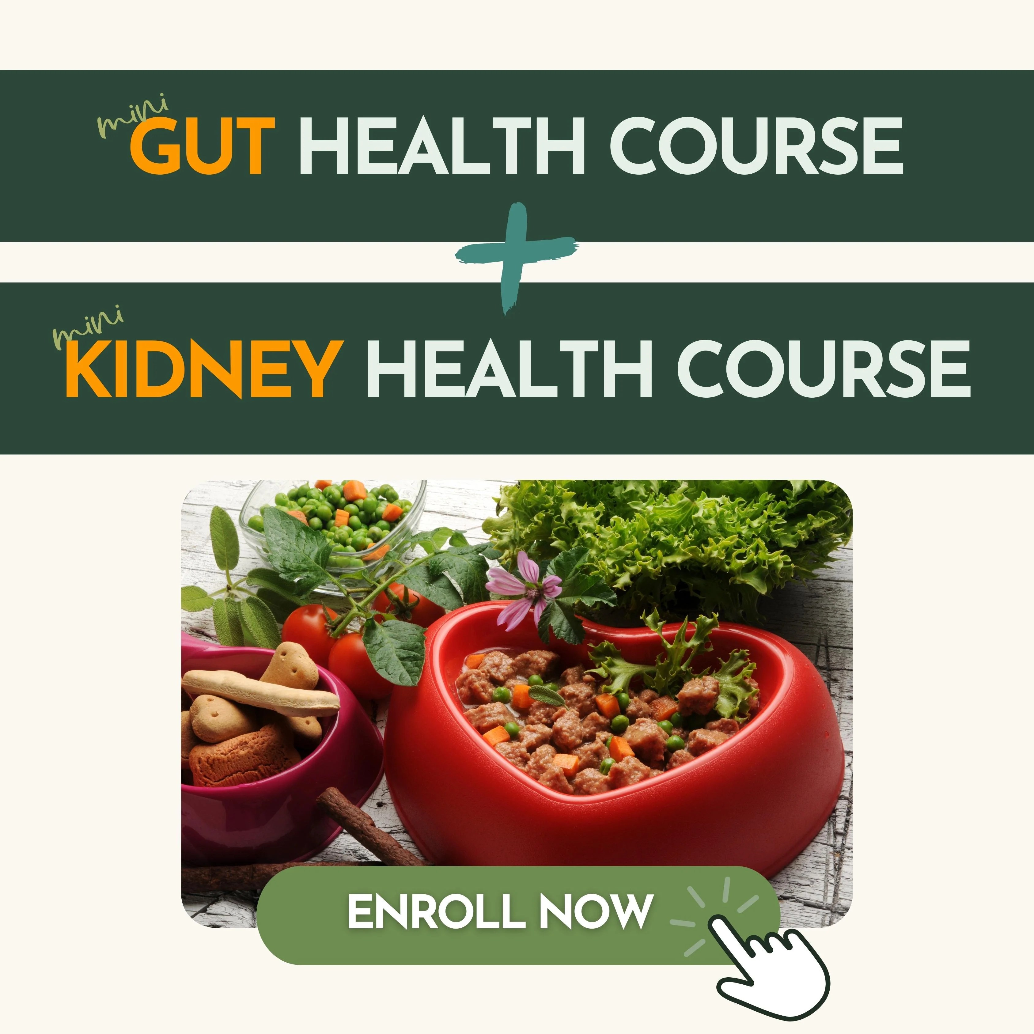 The Crockpet Health Bundle Recipe + Kidney & Gut Health Course