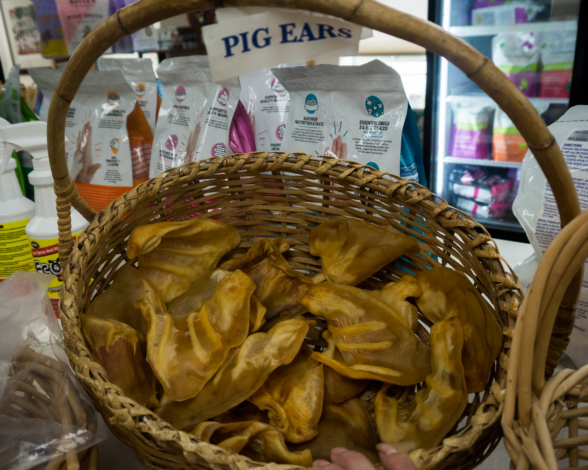 Natural Pet Care Metairie / New Orleans, Louisiana Dr. Adriana