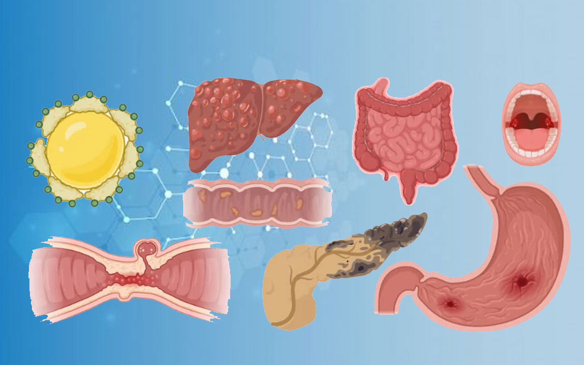 Digestive System Disorders DR. D. S. SAI BABU
