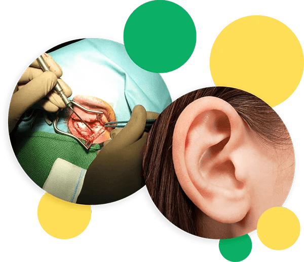 Ear (Otology) Dr Sanu P Moideen