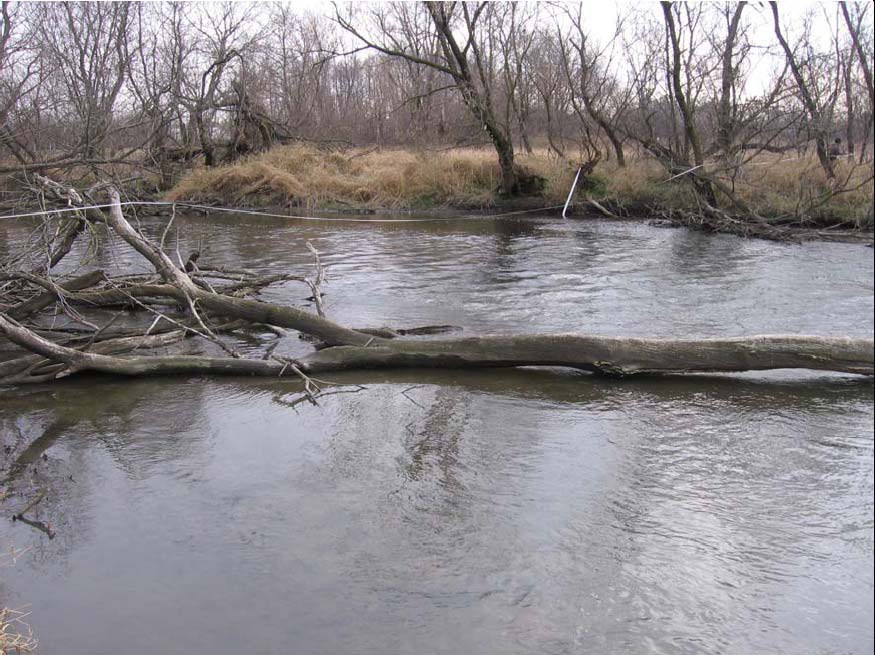 DuPage River Salt Creek Workgroup East Branch DuPage River Watershed