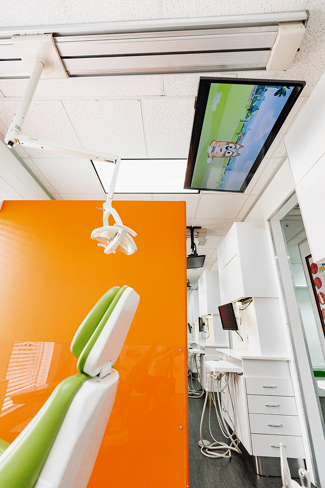 Office Tour Dr Shelly Clark TX 75104 & TX 76065