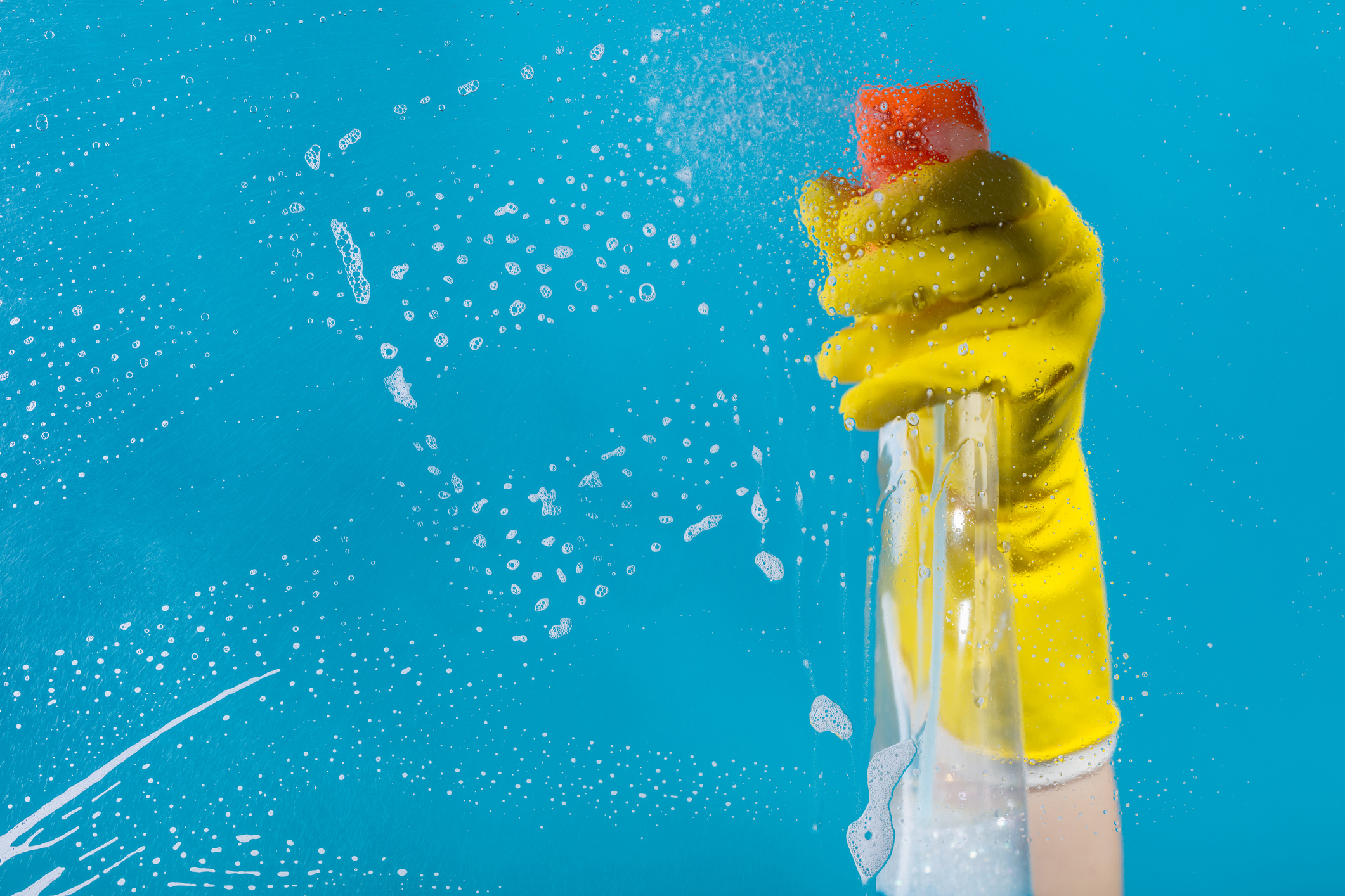 7 Reasons to Have Your Carpets Cleaned During Spring Cleaning Dr